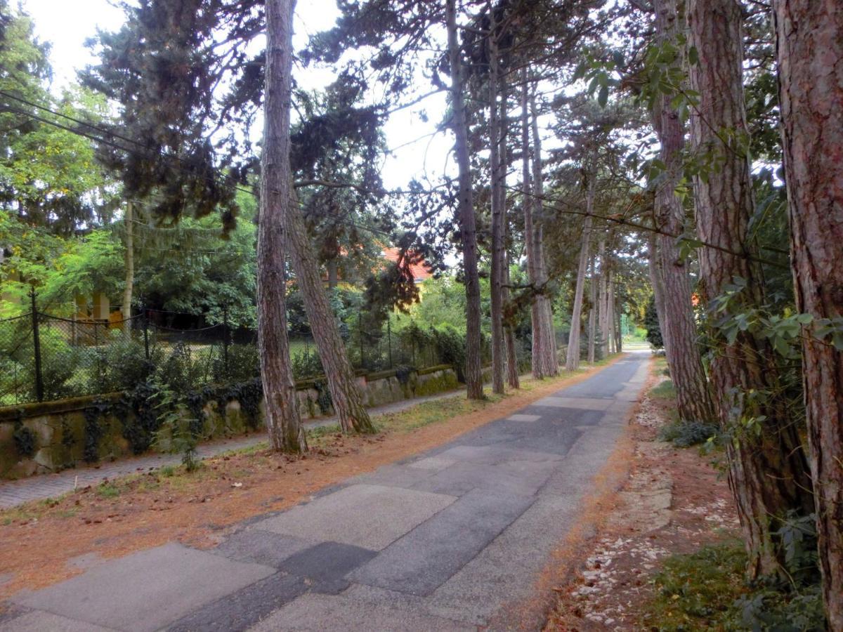 Pilis Apartman Piliscsaba Buitenkant foto